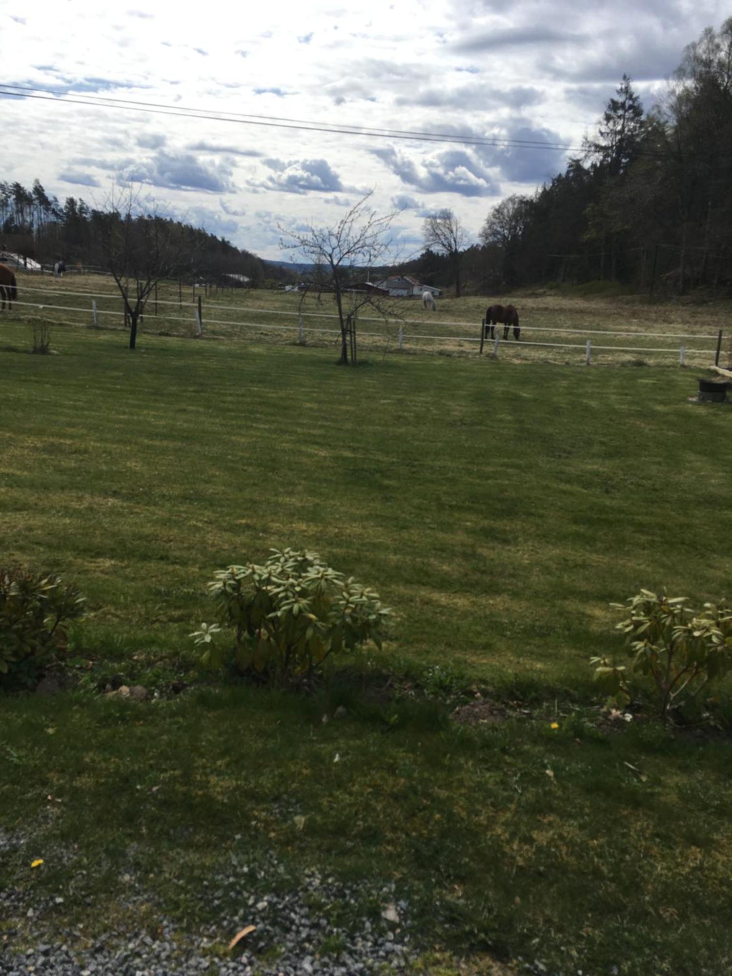 Airbnbekasberg Olofstorp Extérieur photo