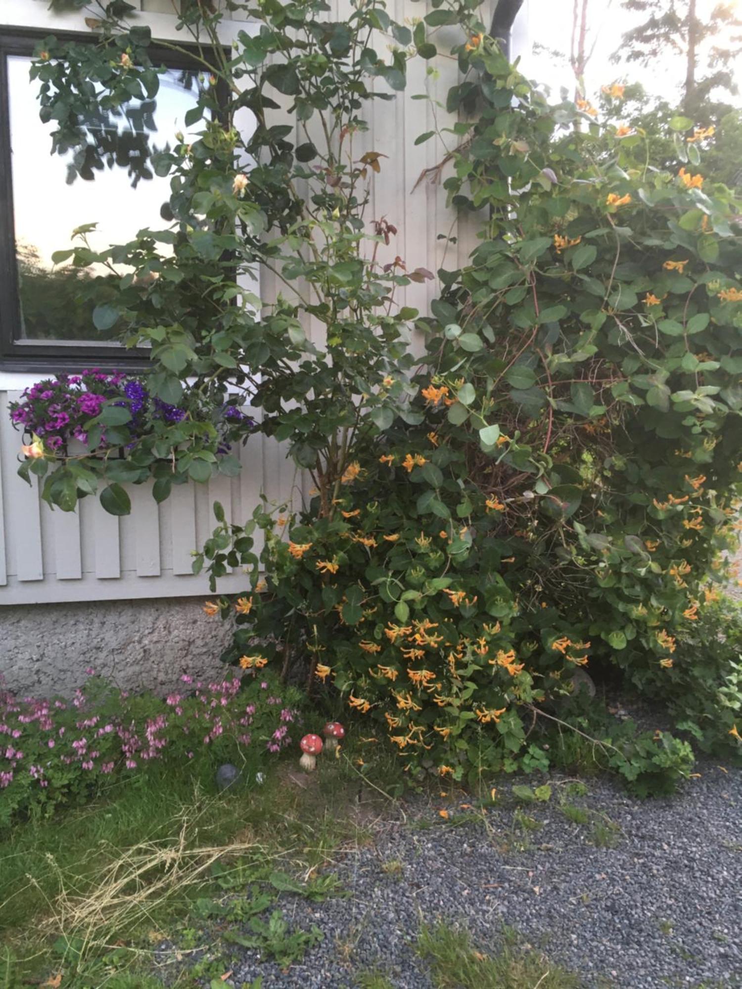 Airbnbekasberg Olofstorp Extérieur photo