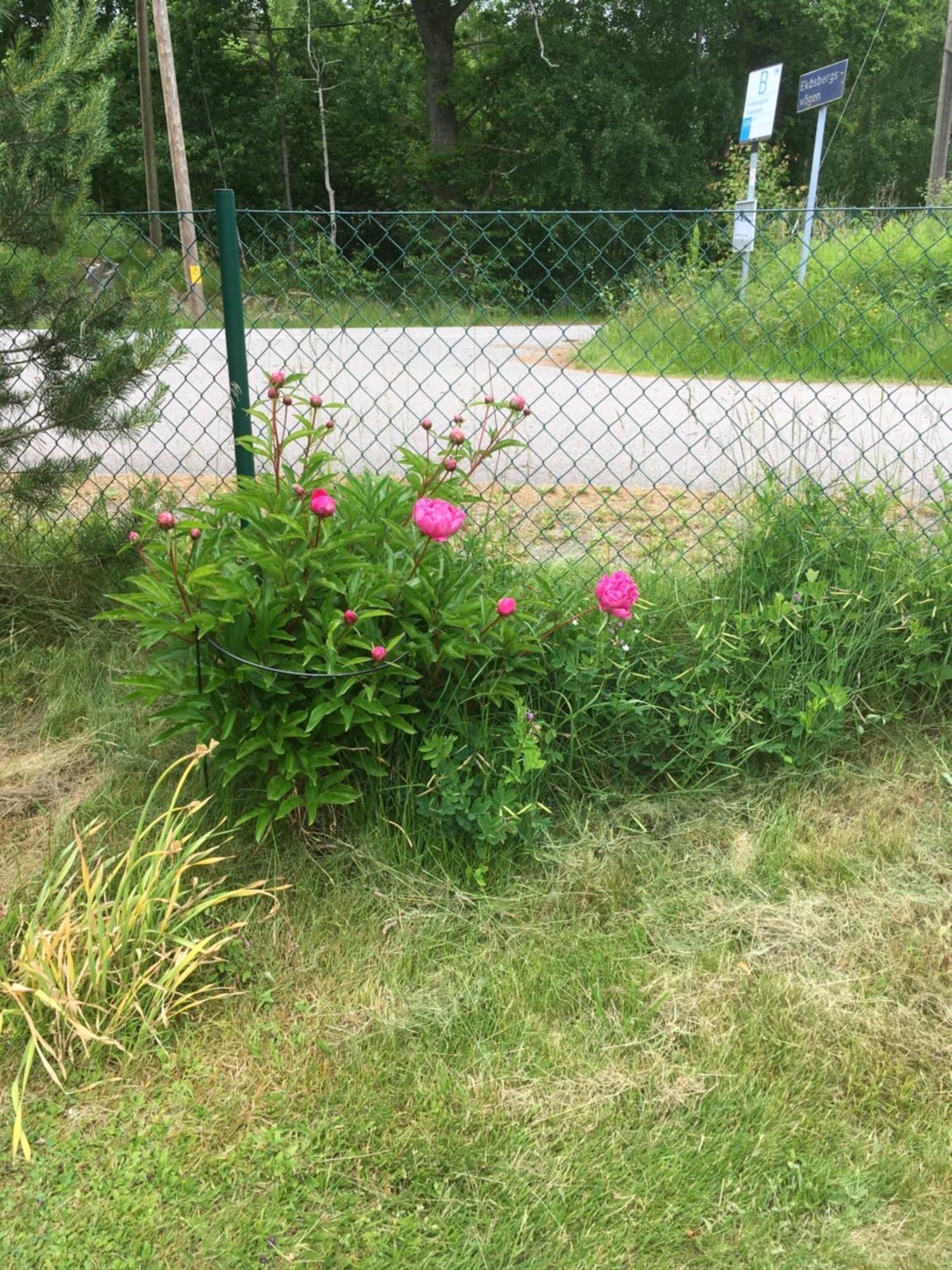 Airbnbekasberg Olofstorp Extérieur photo