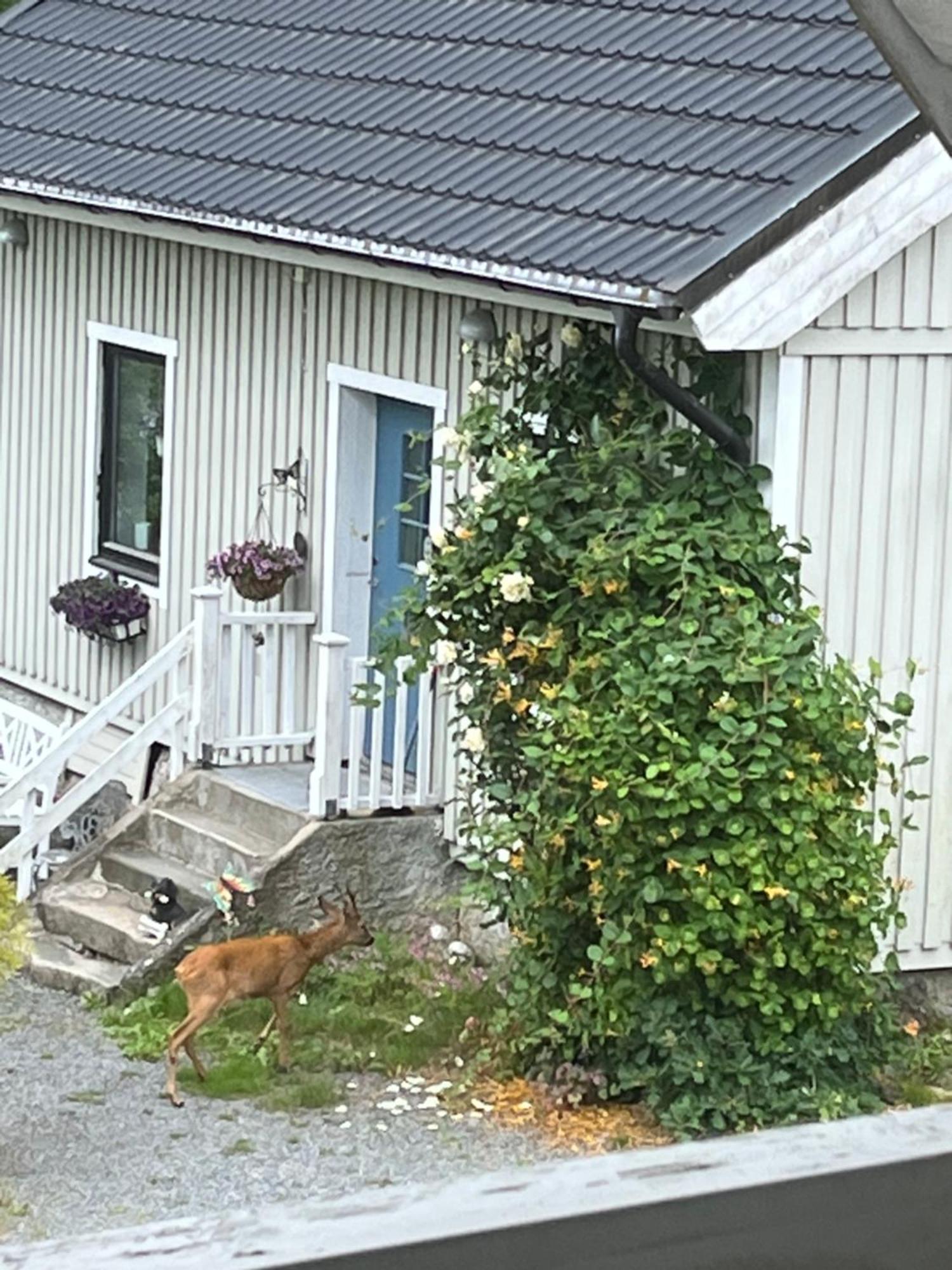 Airbnbekasberg Olofstorp Extérieur photo